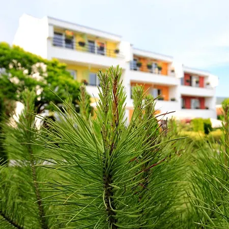 Stayinn Rainbow Beachfront By Asteri Hotel